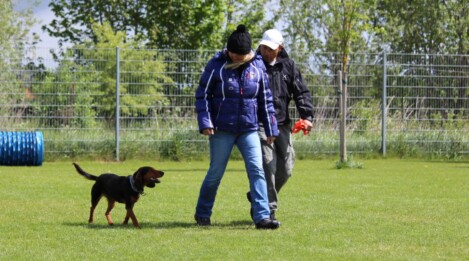 Hundeschule bei München mit Privatunterricht